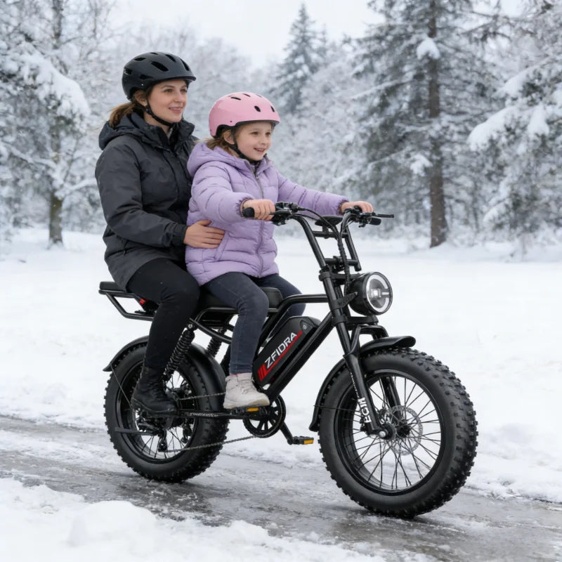 Fat Tire Folding Electric Bike 1000W