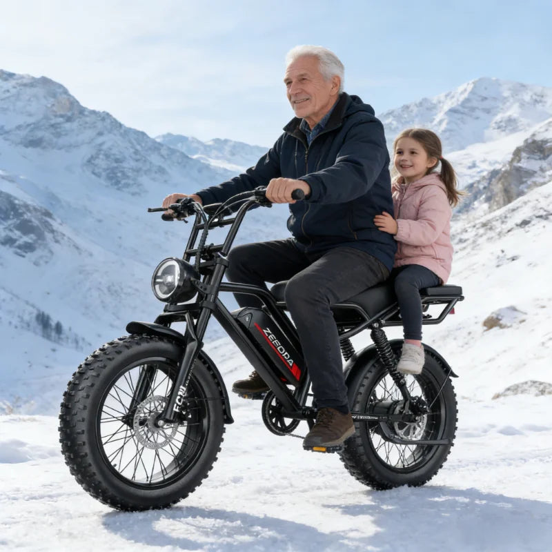 Fat Tire Folding Electric Bike 1000W